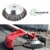 GRASSBITE ®️ Χορτοκοπτικό για Πεζοδρόμια
