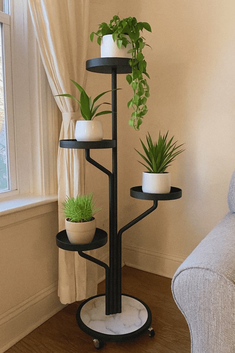 Francesca, 41 ετών