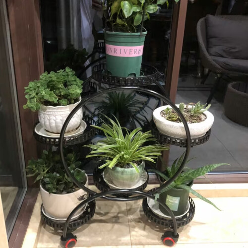 Πέτρος, 37 ετών