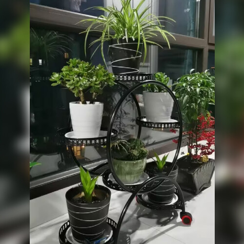 Χιάρα, 29 ετών